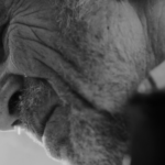 vieille homme qui pleure